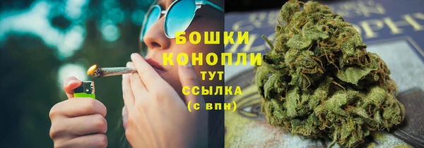 индика Тихвин
