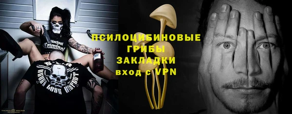 индика Тихвин