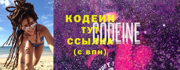 индика Тихвин