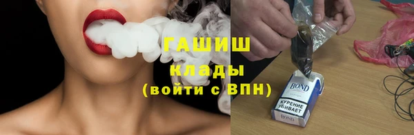 индика Тихвин