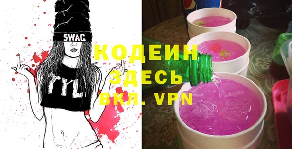 индика Тихвин