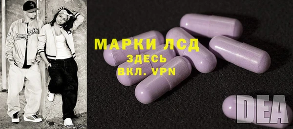 индика Тихвин