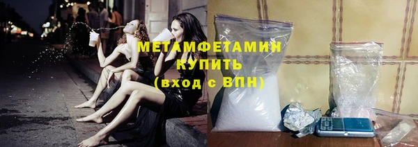 индика Тихвин