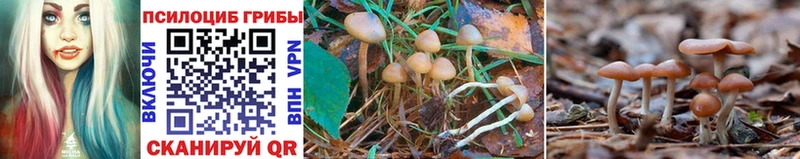 Галлюциногенные грибы GOLDEN TEACHER Фролово