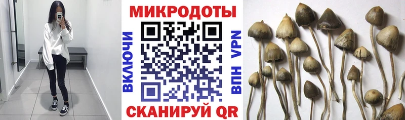 Галлюциногенные грибы GOLDEN TEACHER  mega как войти  Фролово 