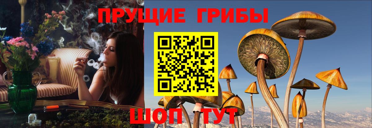Галлюциногенные грибы Magic Shrooms Фролово